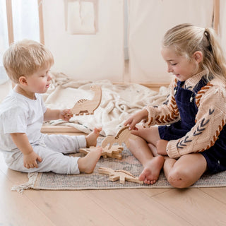 Dino Play Set