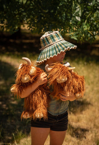 Henry the Highland Cow